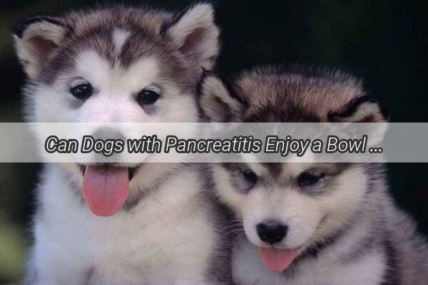 Can Dogs with Pancreatitis Enjoy a Bowl of Pasta Discover the Truth